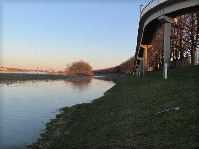 n_10_hws_n_16-02-16 580cm_5632.jpg